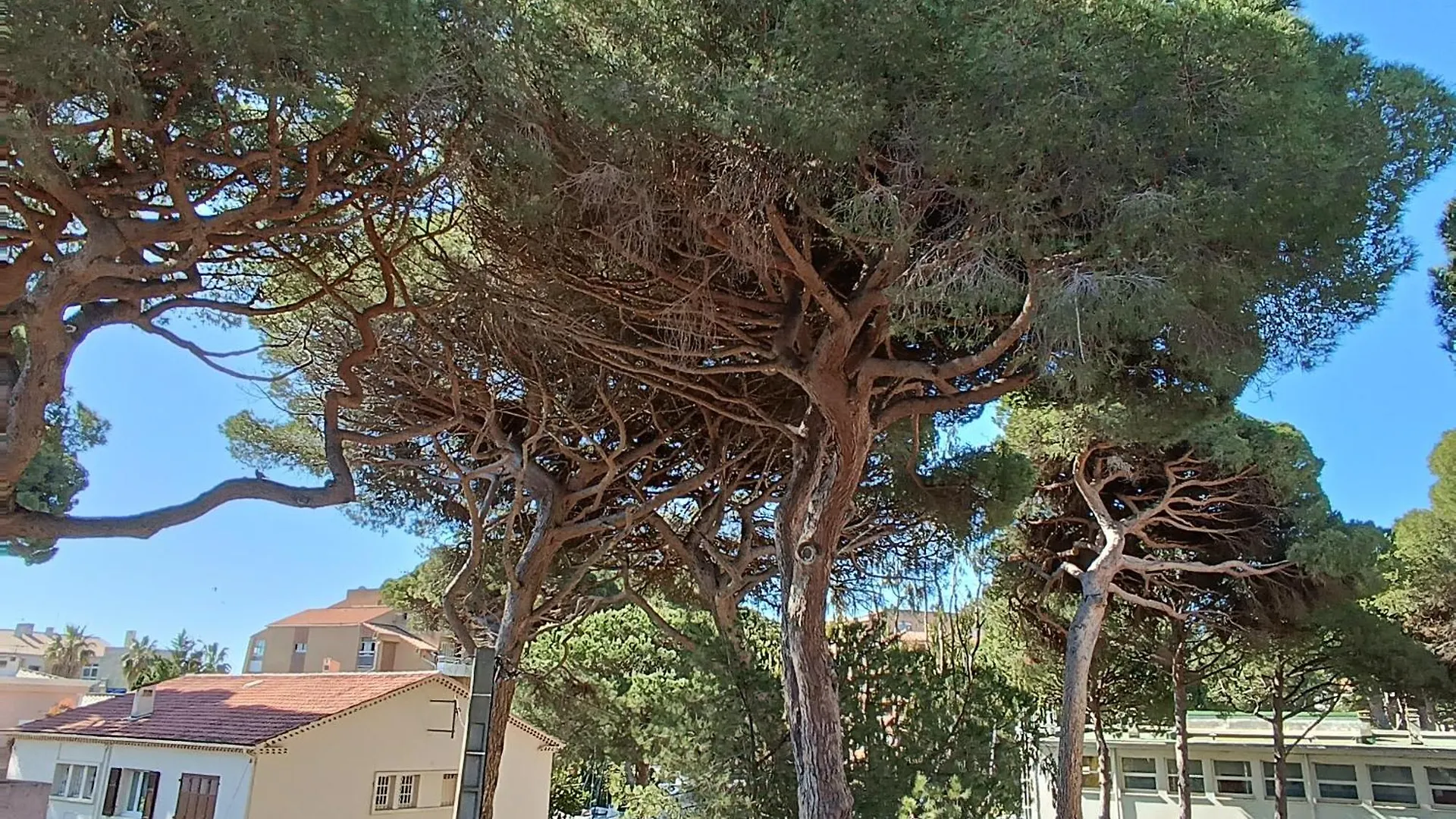 Appart Au Calme, Climatise, Avec Parking, 2 Pas Des Plages, Hyeres Le Port Apartment 0*,  France